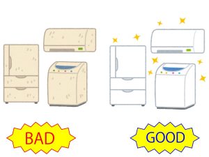 ポイント 製造年数