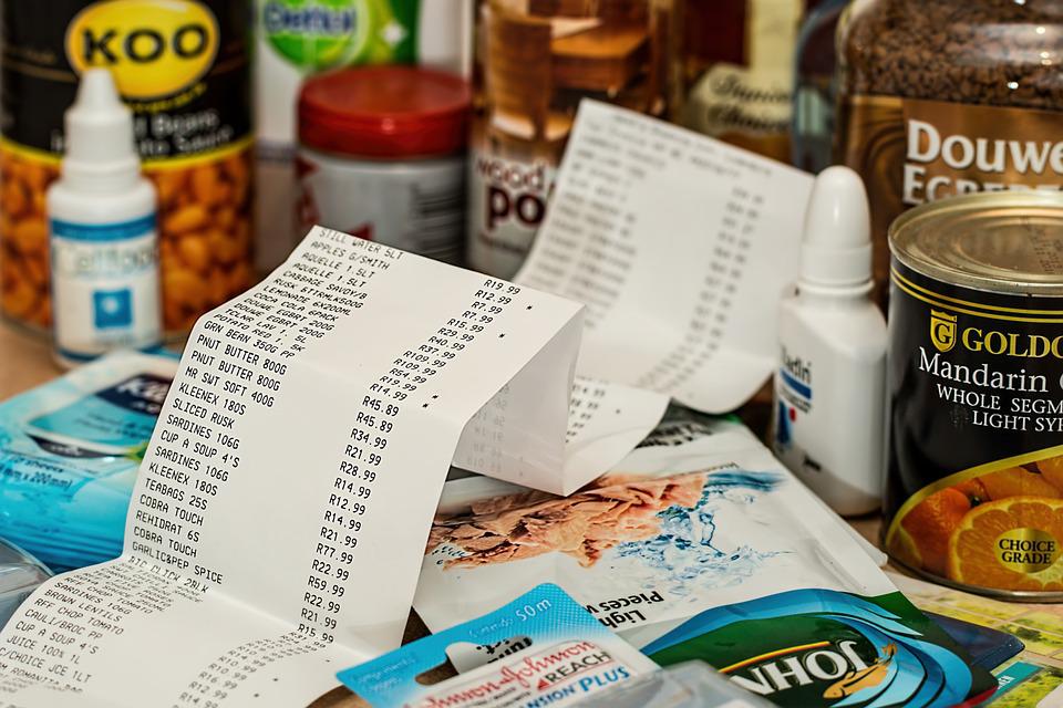 plastic-model-trip-purchase-6