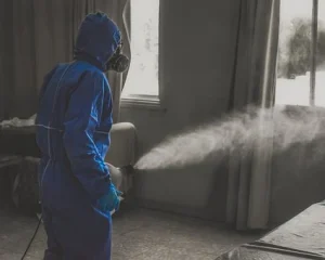 特殊清掃